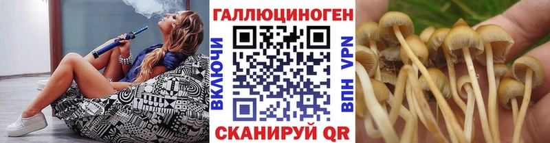 Псилоцибиновые грибы Psilocybine cubensis Белокуриха