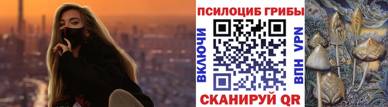 где можно купить   кракен ссылки  это официальный сайт  Белокуриха  Галлюциногенные грибы Magic Shrooms 